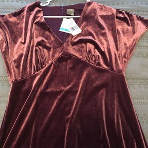 Garnet velvet dress